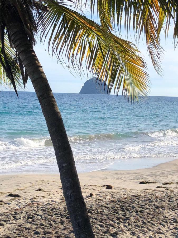 Studio Sainte Anne 2Mn A Pieds De La Plage ,Possibilite Location De Voiture المظهر الخارجي الصورة