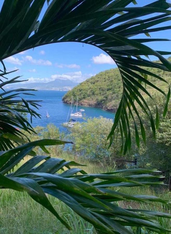 Studio Sainte Anne 2Mn A Pieds De La Plage ,Possibilite Location De Voiture المظهر الخارجي الصورة
